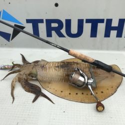 Rush(ラッシュ) 釣果