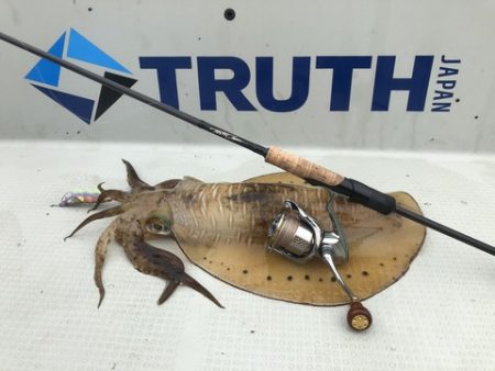 Rush(ラッシュ) 釣果