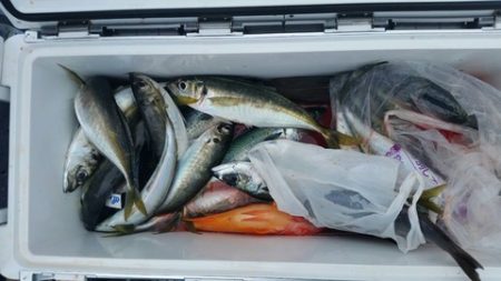 第五慶門丸 釣果