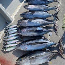 へいみつ丸 釣果