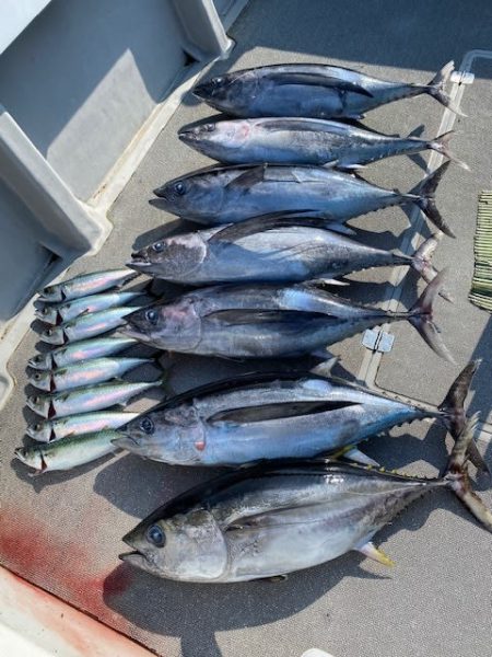 へいみつ丸 釣果