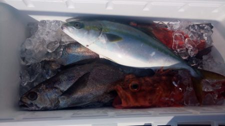 弘福丸 釣果