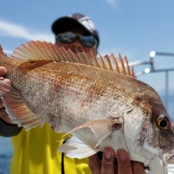 遊漁船 ニライカナイ 釣果