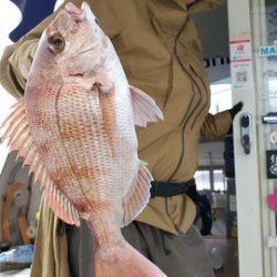 遊漁船 ニライカナイ 釣果