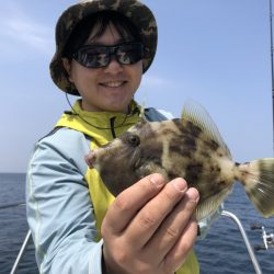 Magic（マジック） 釣果