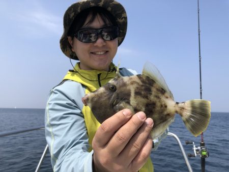 Magic（マジック） 釣果