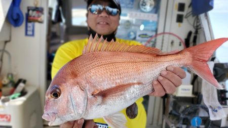 遊漁船 ニライカナイ 釣果