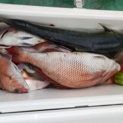 第二むつ漁丸 釣果