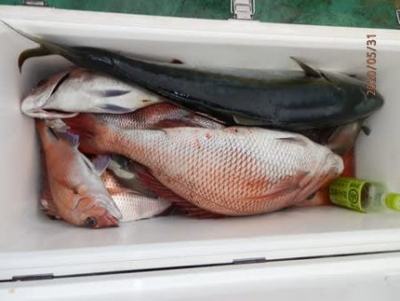 第二むつ漁丸 釣果