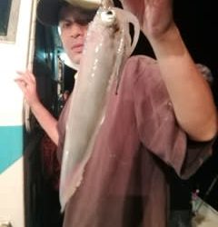 松福丸 釣果