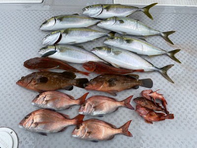 ミタチ丸 釣果