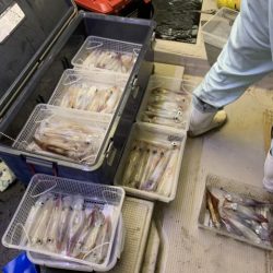 第八大安丸 釣果