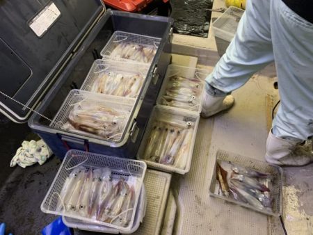 第八大安丸 釣果