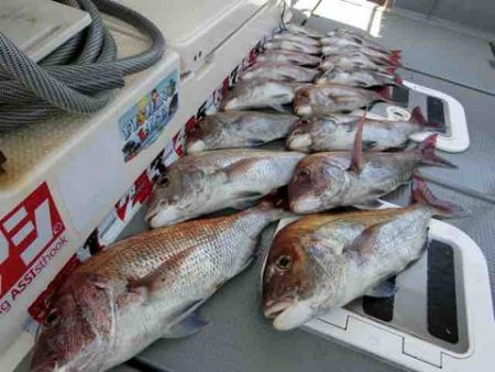 遊漁船 セトマリン 釣果