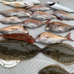 ミタチ丸 釣果