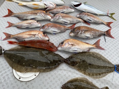 ミタチ丸 釣果