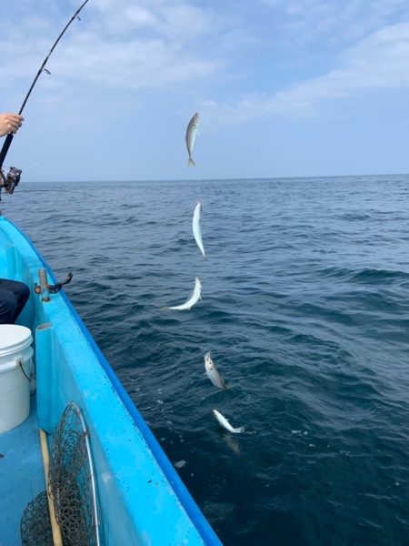 宝昌丸 釣果