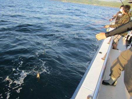 ジギング船 BLUEWATER 釣果