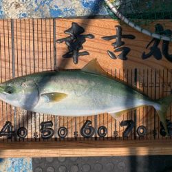 幸吉丸 釣果
