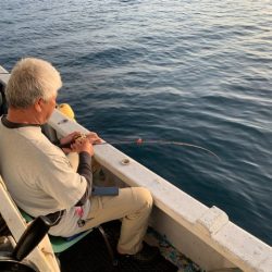 幸吉丸 釣果