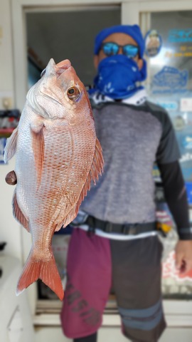 遊漁船 ニライカナイ 釣果