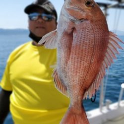 遊漁船 ニライカナイ 釣果