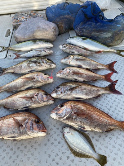 ミタチ丸 釣果