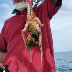 遊漁船 ニライカナイ 釣果