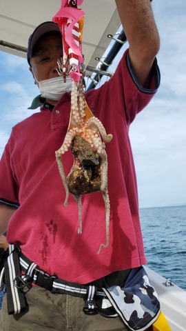 遊漁船 ニライカナイ 釣果