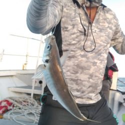 遊漁船 新鋭丸 釣果