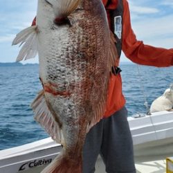 遊漁船 ニライカナイ 釣果