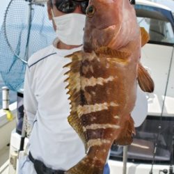 遊漁船 ニライカナイ 釣果