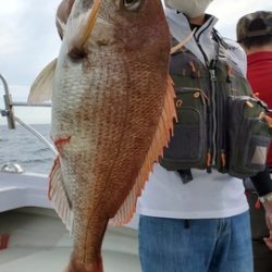 遊漁船 ニライカナイ 釣果