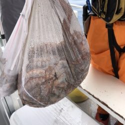 たかみ丸 釣果