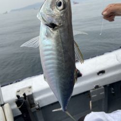夢丸 釣果