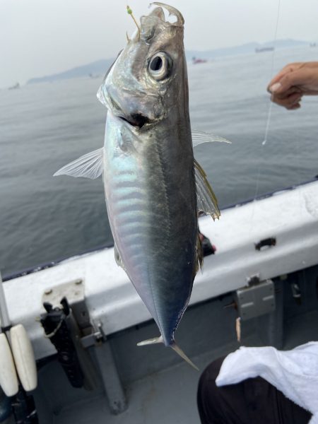 夢丸 釣果