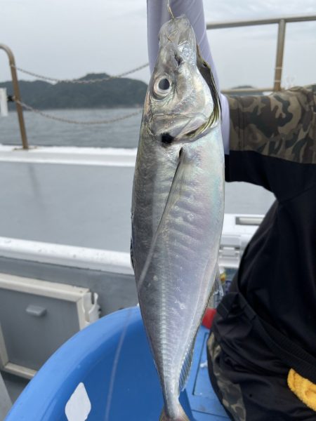 夢丸 釣果