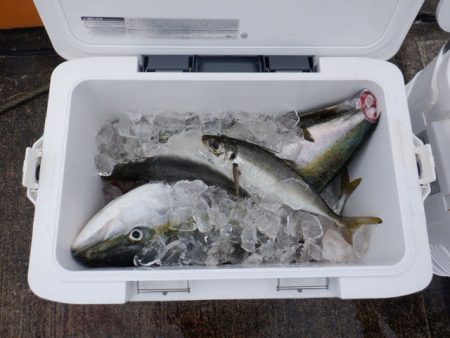 開進丸 釣果