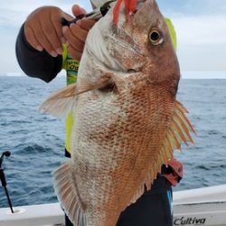 遊漁船 ニライカナイ 釣果