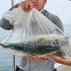 遊漁船 ニライカナイ 釣果