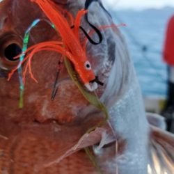 遊漁船 ニライカナイ 釣果