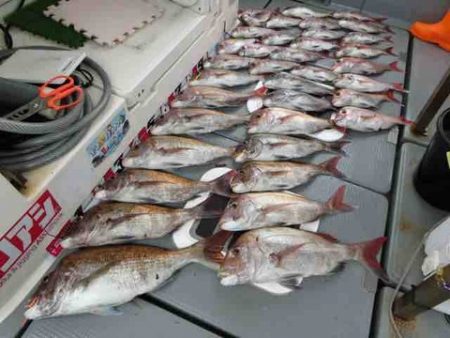 遊漁船 セトマリン 釣果