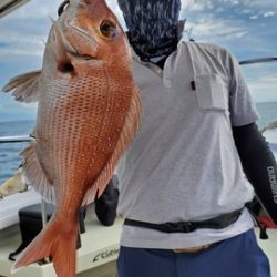 遊漁船 ニライカナイ 釣果