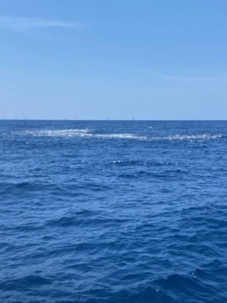 へいみつ丸 釣果