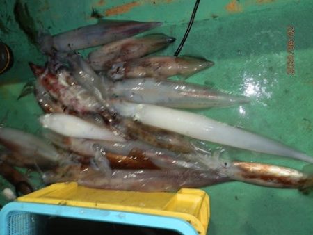 第二むつ漁丸 釣果