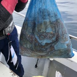 たかみ丸 釣果