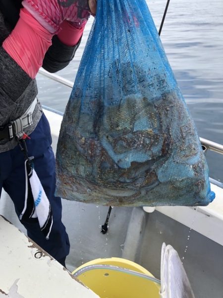 たかみ丸 釣果