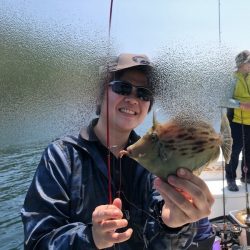 Magic（マジック） 釣果