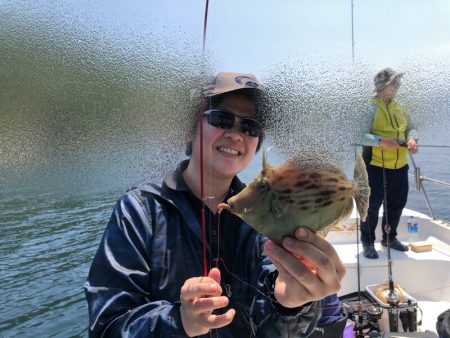 Magic（マジック） 釣果