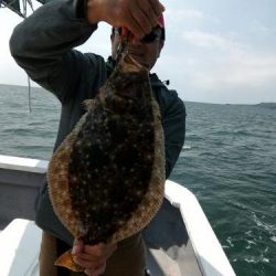 ファイヤードルフィン 釣果